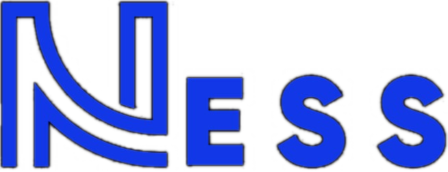 nessdte.com